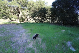 Enlarge photo 396