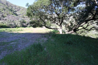 Enlarge photo 397