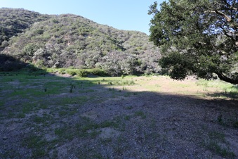 Enlarge photo 398