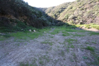 Enlarge photo 399