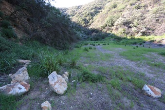 Enlarge photo 400