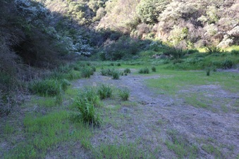 Enlarge photo 401