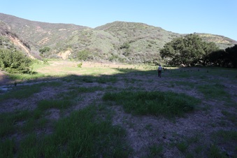 Enlarge photo 404