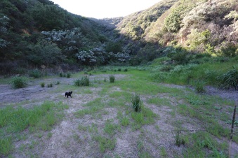 Enlarge photo 405