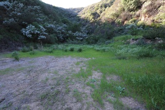 Enlarge photo 406