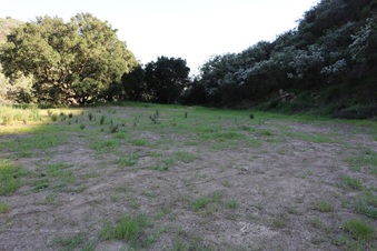 Enlarge photo 408
