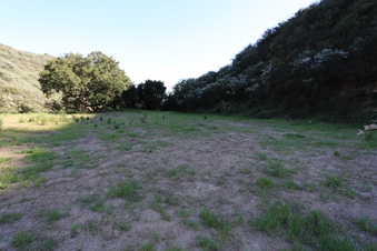 Enlarge photo 409