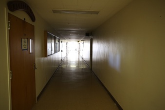 Enlarge photo 234