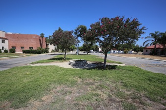 Enlarge photo 262