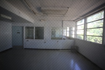 Enlarge photo 282