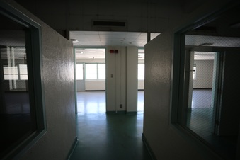 Enlarge photo 371