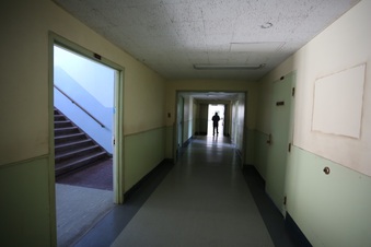 Enlarge photo 384