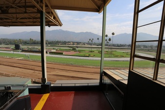 Enlarge photo 31