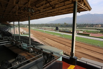 Enlarge photo 32