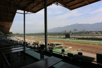 Enlarge photo 37