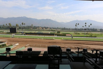 Enlarge photo 38