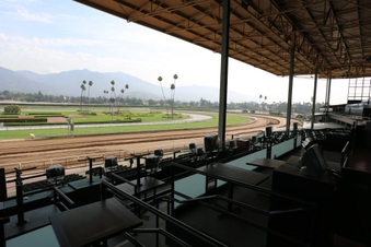 Enlarge photo 39