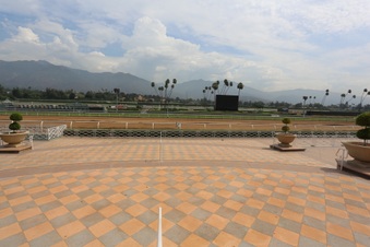 Enlarge photo 79