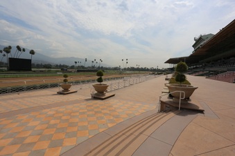 Enlarge photo 80