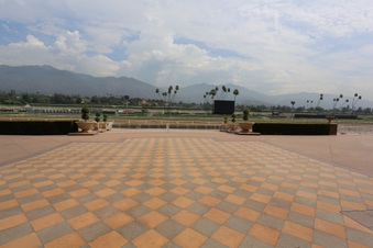 Enlarge photo 81