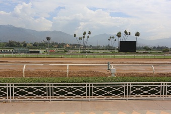 Enlarge photo 88
