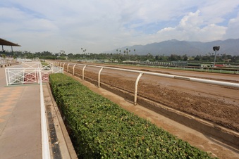 Enlarge photo 89