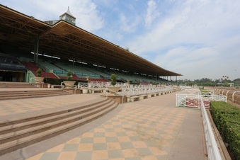 Enlarge photo 94