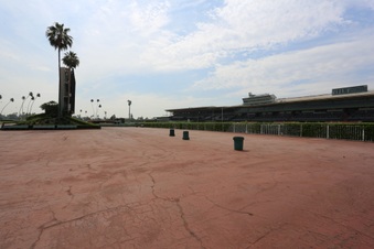 Enlarge photo 108