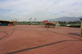 Enlarge photo 110