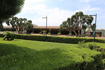 Enlarge photo 114
