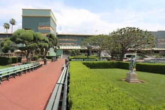 Enlarge photo 116