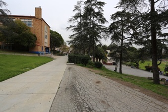 Enlarge photo 8