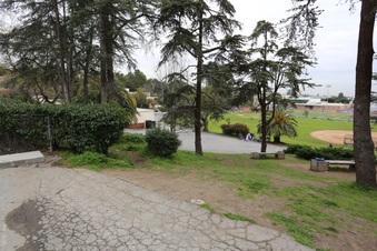 Enlarge photo 10