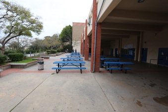 Enlarge photo 16
