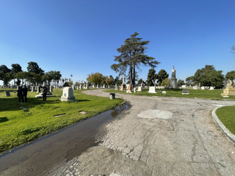 Enlarge photo 20