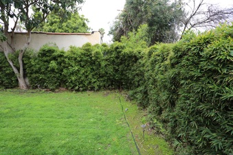 Enlarge photo 26