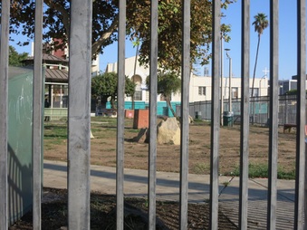 Enlarge photo 12