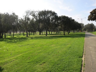 Enlarge photo 7