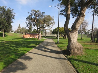 Enlarge photo 11