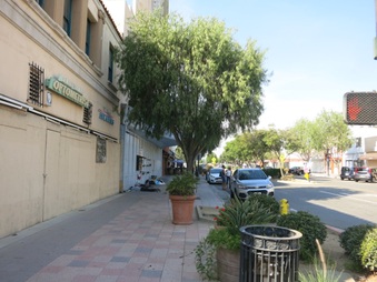 Enlarge photo 40