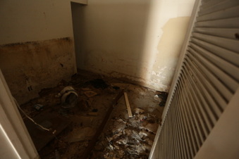 Enlarge photo 51