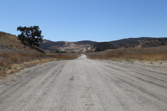 Enlarge photo 2