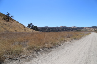 Enlarge photo 7