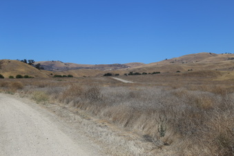 Enlarge photo 18