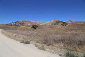 Enlarge photo 21