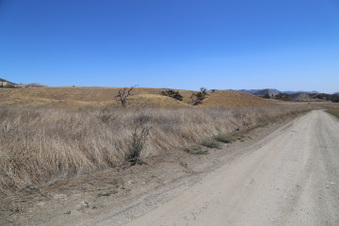Enlarge photo 25