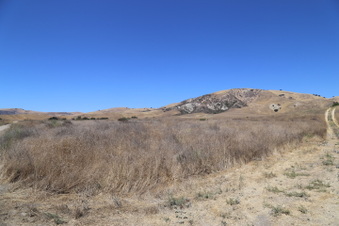 Enlarge photo 29