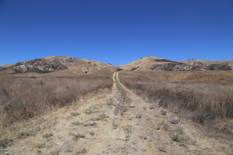 Enlarge photo 30