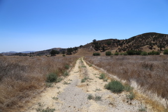 Enlarge photo 37