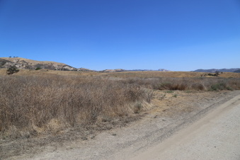 Enlarge photo 34